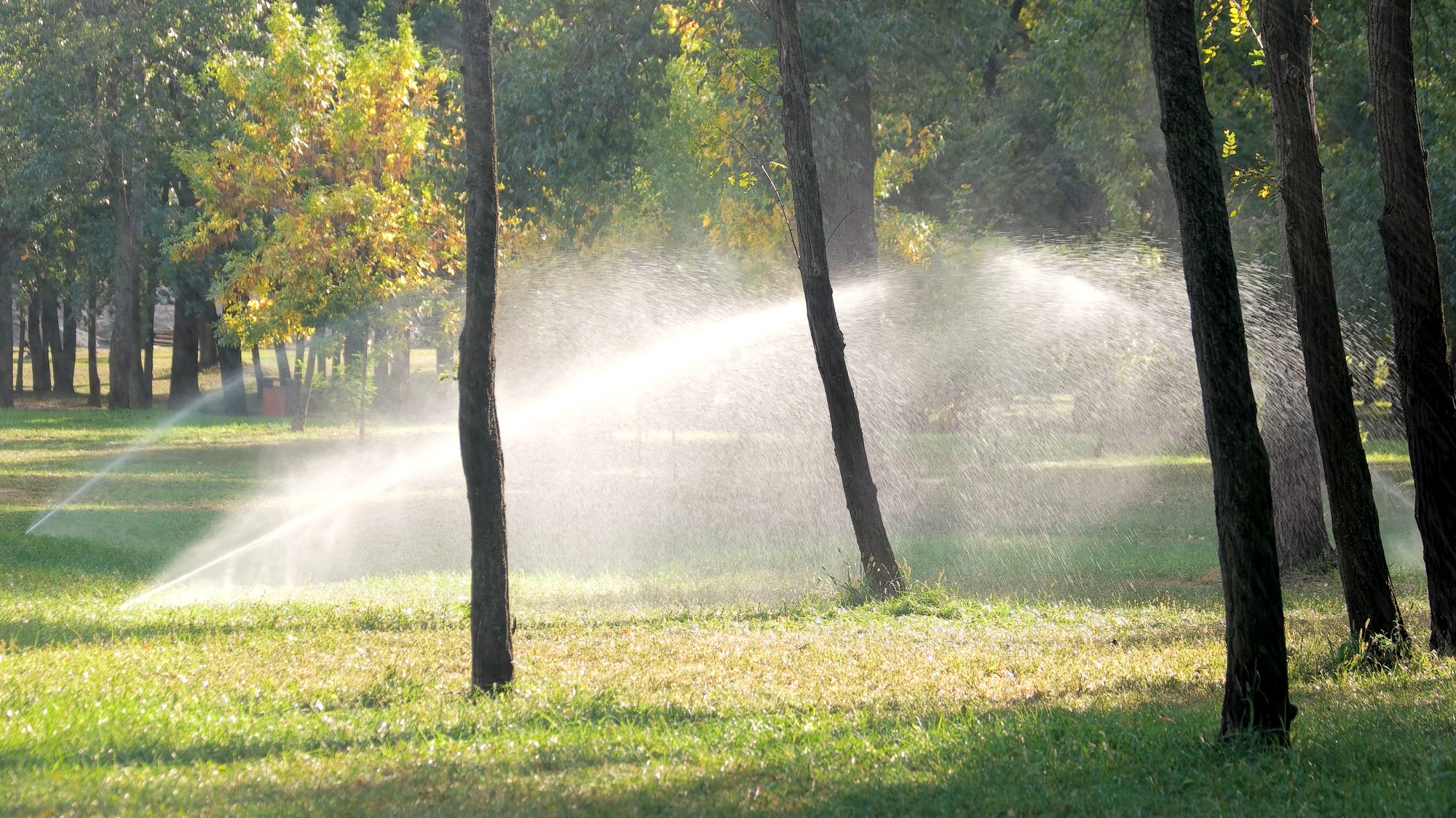 Automatic sprinkler system watering the lawn.